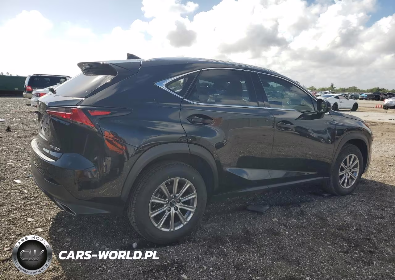 2021 Lexus Nx 300 Base VIN:JTJDARBZ4M2198068 - 3