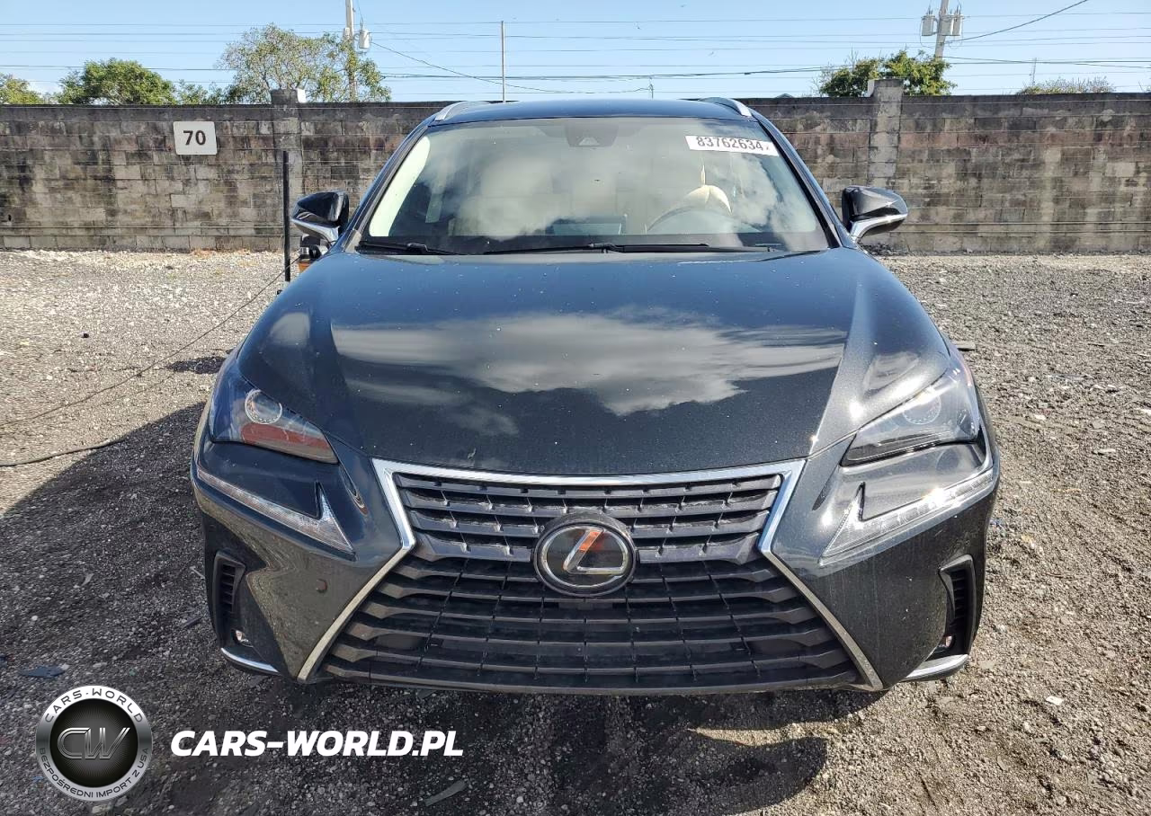 2021 Lexus Nx 300 Base VIN:JTJDARBZ4M2198068 - 5