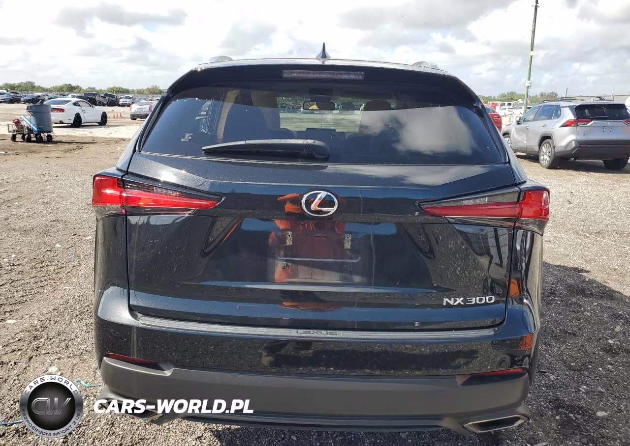 2021 Lexus Nx 300 Base VIN:JTJDARBZ4M2198068 - 6