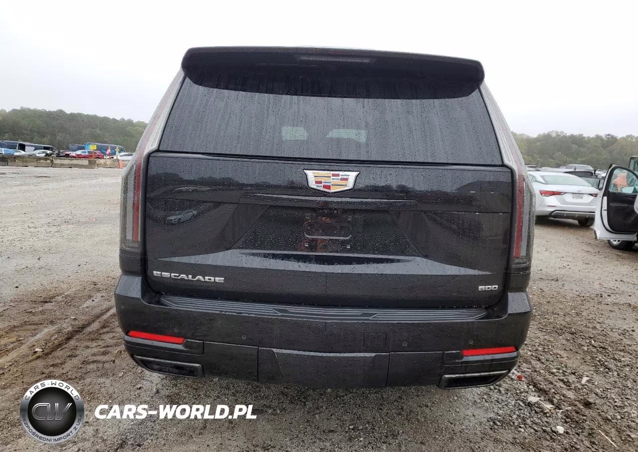 2025 Cadillac Escalade Esv Sport VIN:1GYS9NRL0SR170201 - 6