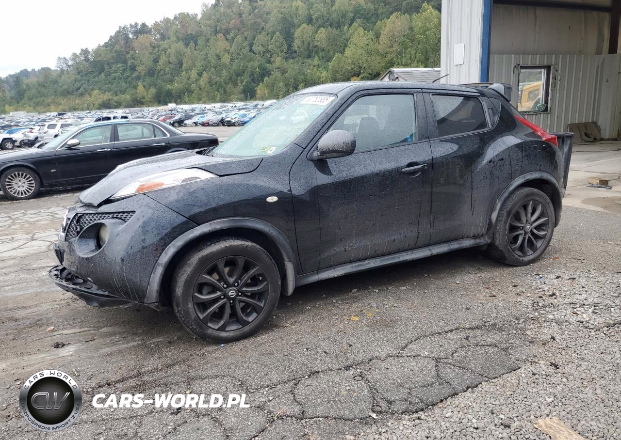 2013 Nissan Juke S