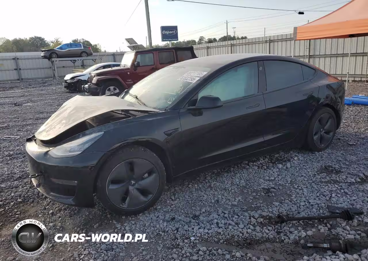 2019 Tesla Model 3