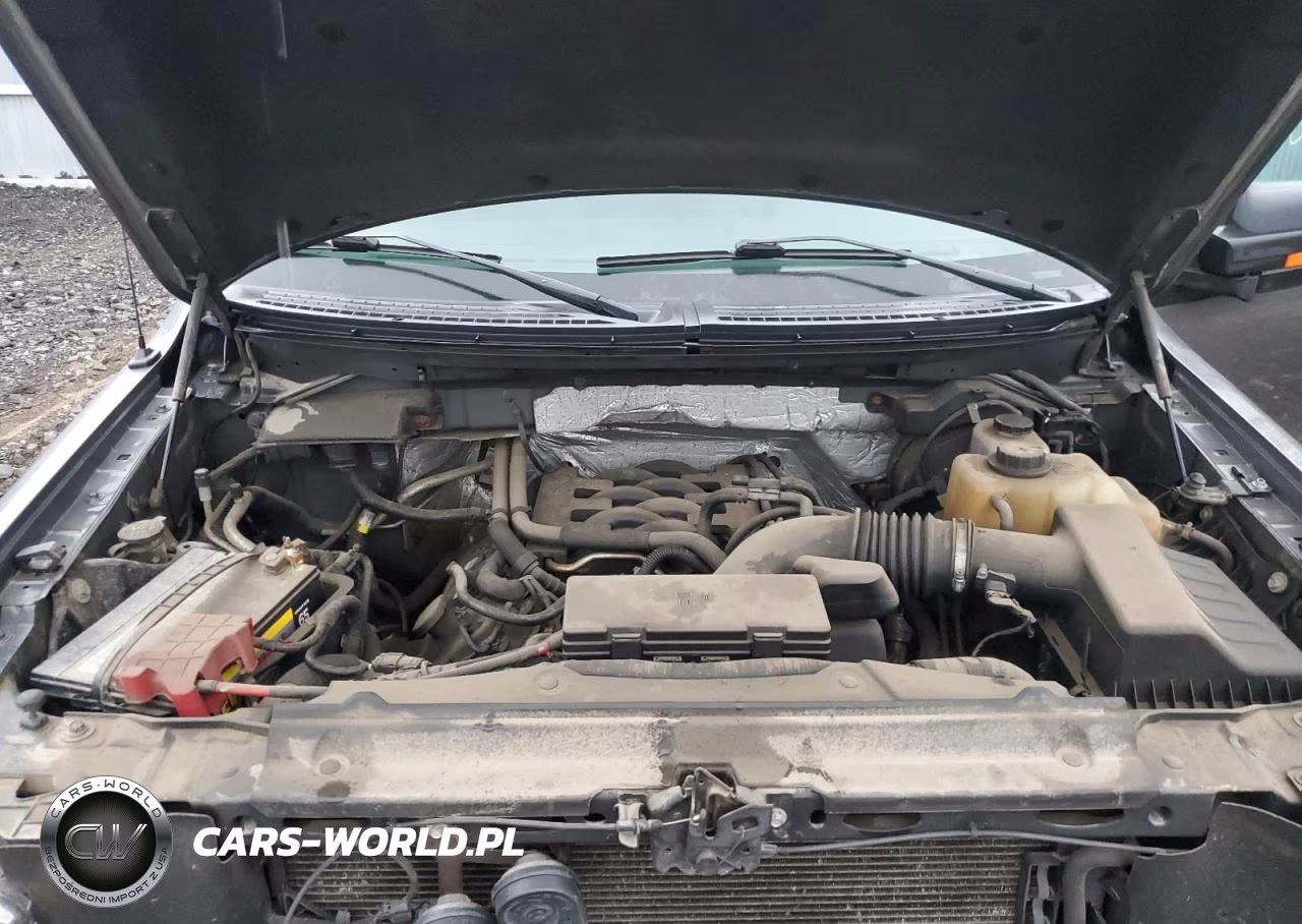 FORD F150 SUPER VIN:1FTFW1EF1BKD15909 - 11