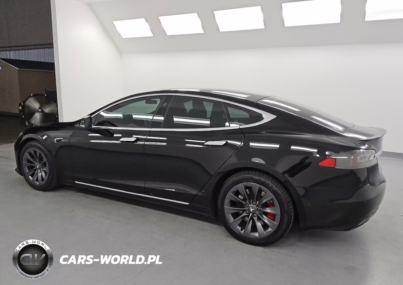 2020 Tesla Model S VIN:5YJSA1E40LF393480 - 2
