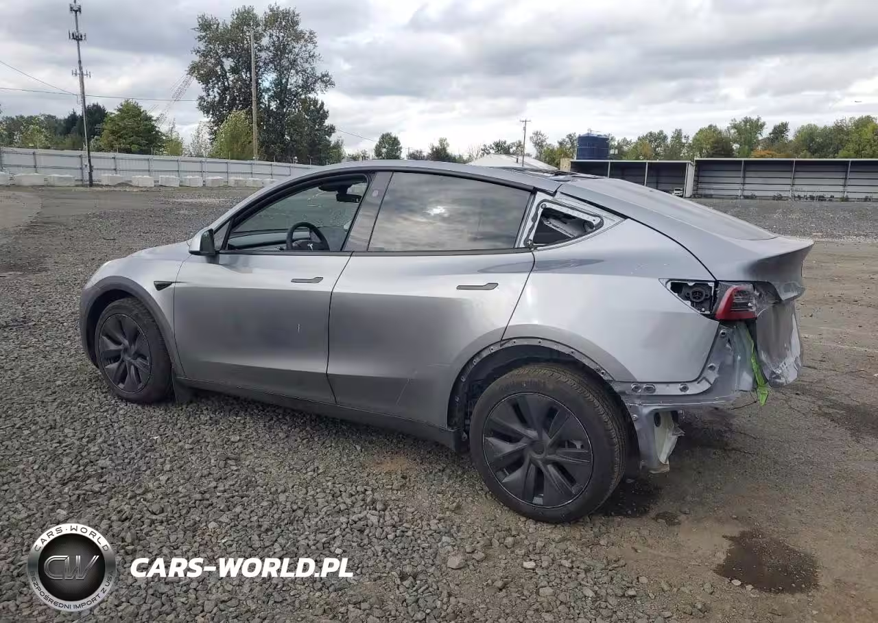 2024 Tesla Model Y VIN:7SAYGDEE5RF164453 - 2