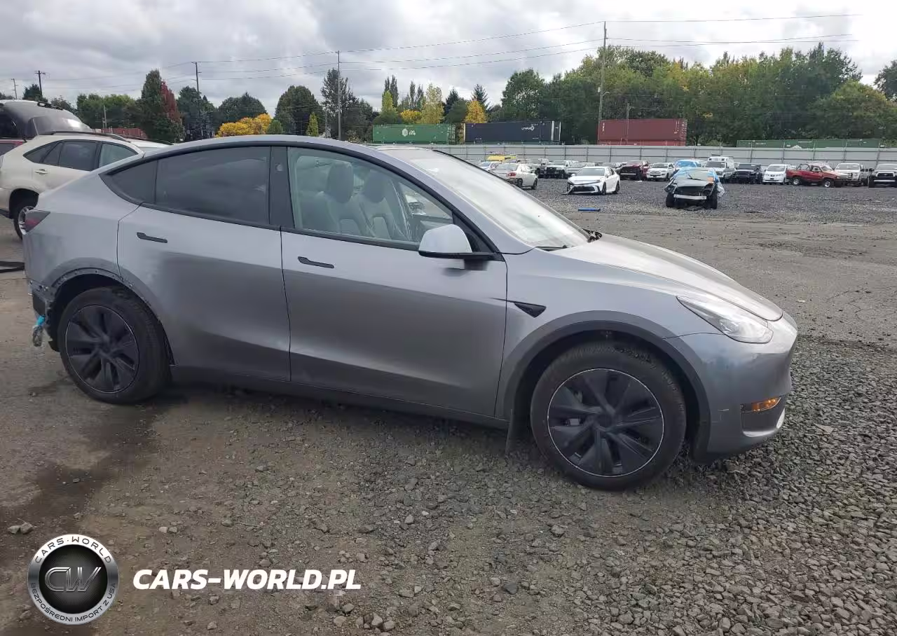 2024 Tesla Model Y VIN:7SAYGDEE5RF164453 - 4