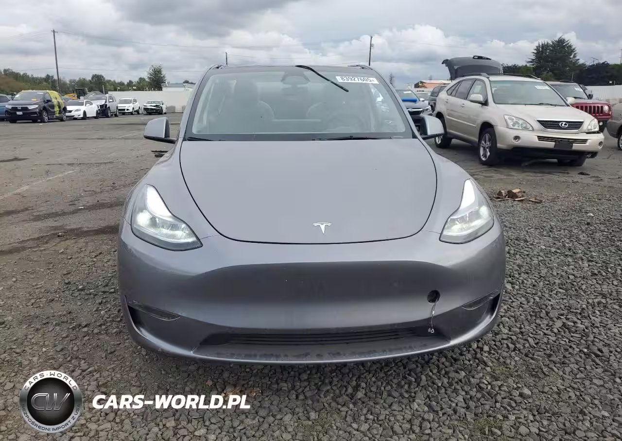 2024 Tesla Model Y VIN:7SAYGDEE5RF164453 - 5