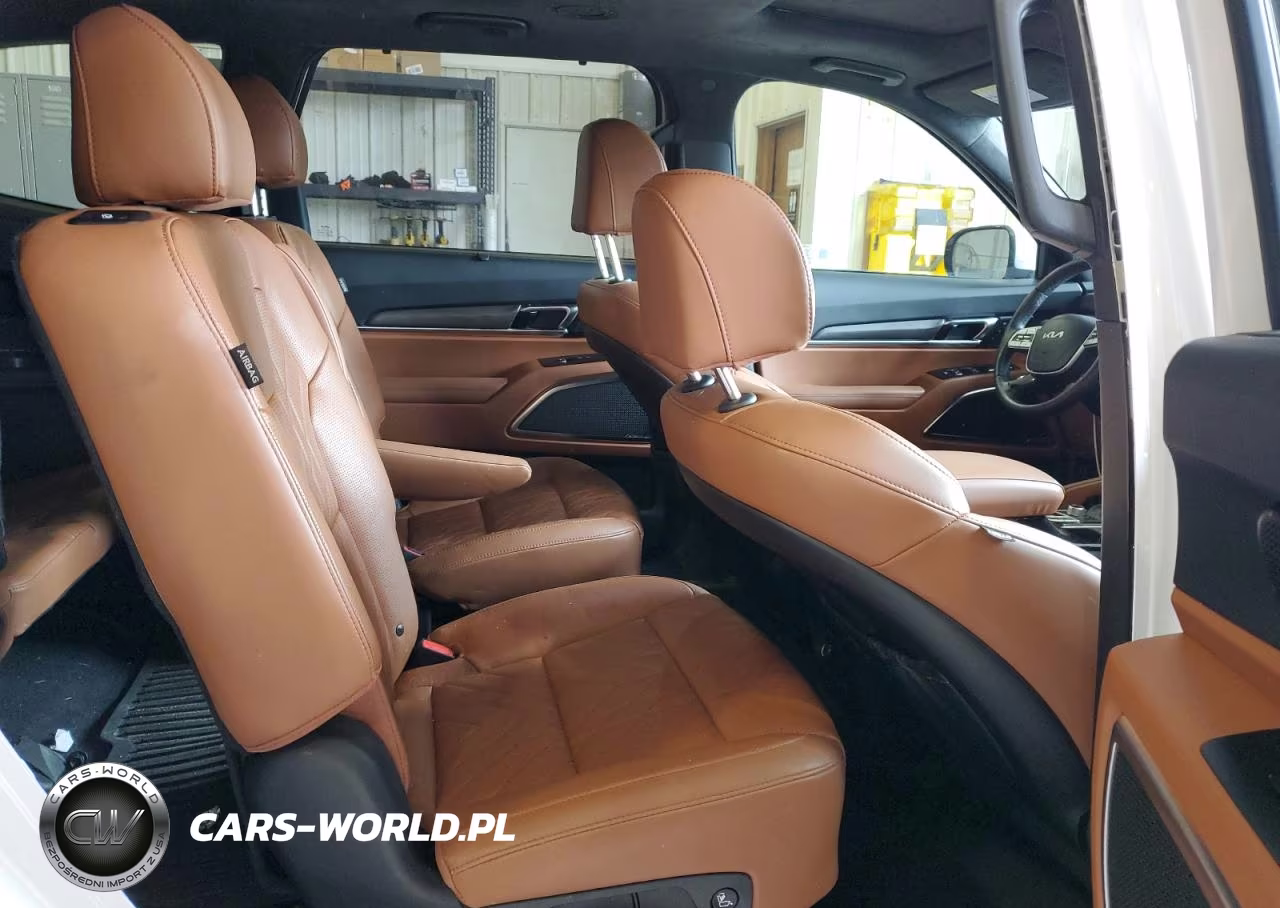 2024 Kia Telluride Sx VIN:5XYP5DGC3RG471252 - 11