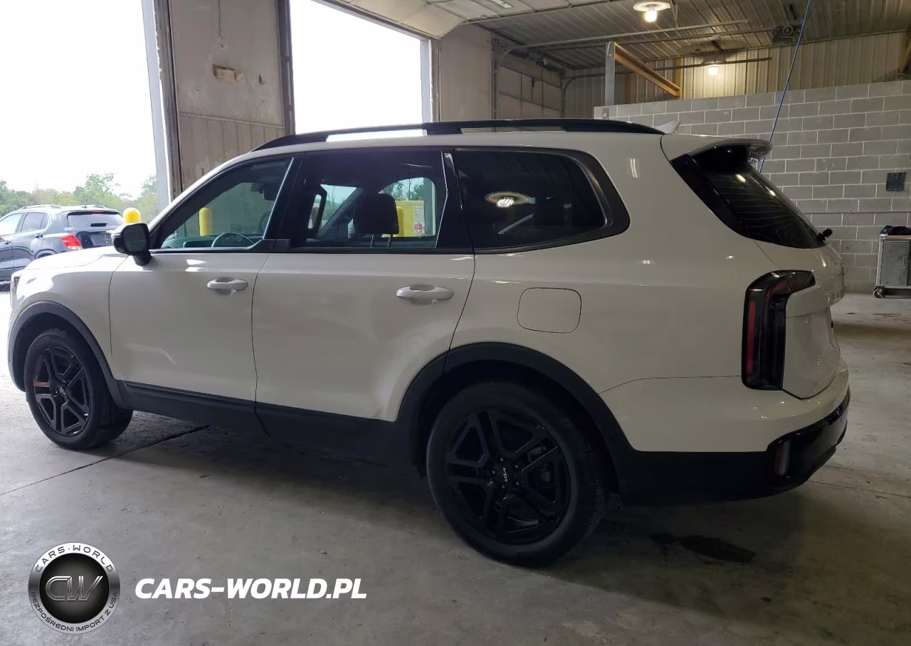 2024 Kia Telluride Sx VIN:5XYP5DGC3RG471252 - 2