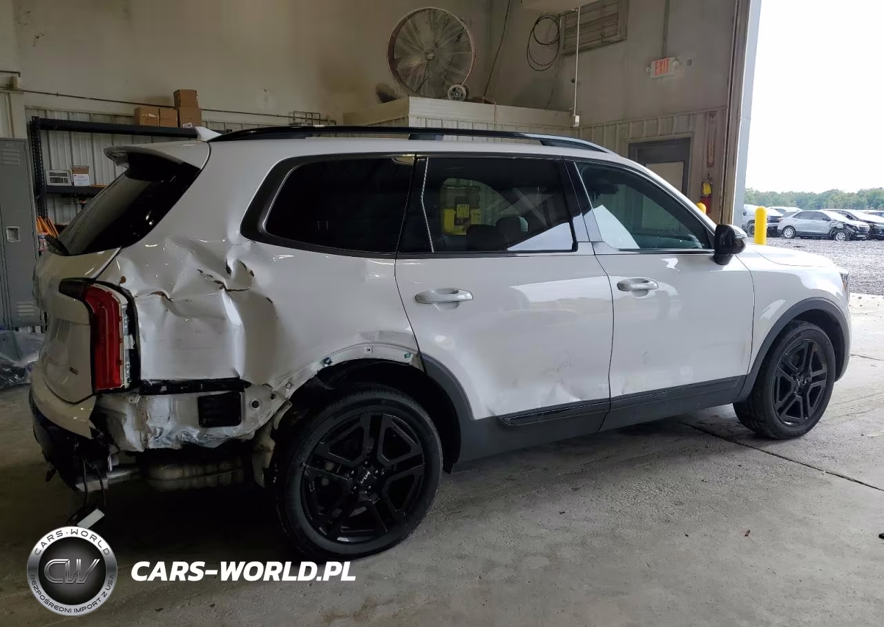 2024 Kia Telluride Sx VIN:5XYP5DGC3RG471252 - 3