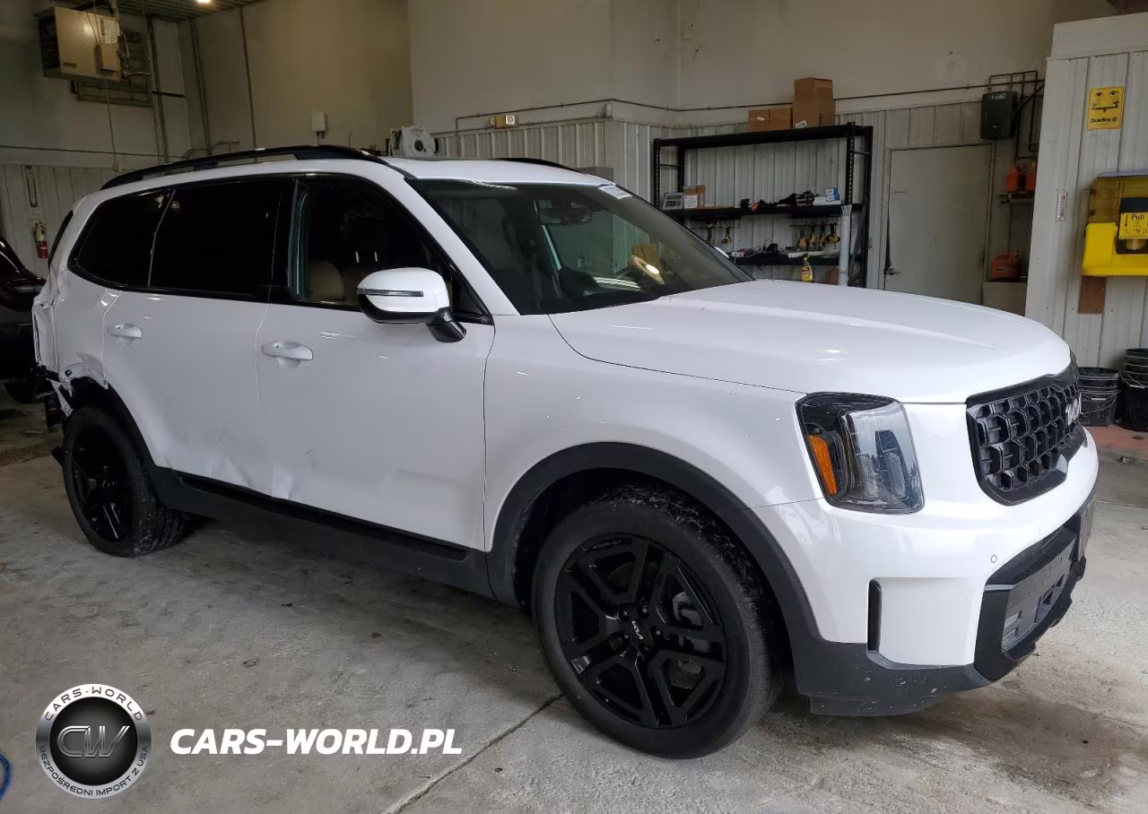 2024 Kia Telluride Sx VIN:5XYP5DGC3RG471252 - 4