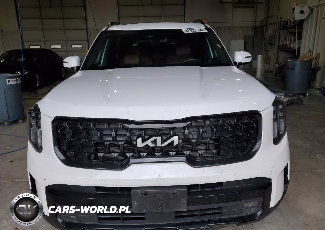 2024 Kia Telluride Sx VIN:5XYP5DGC3RG471252 - 5