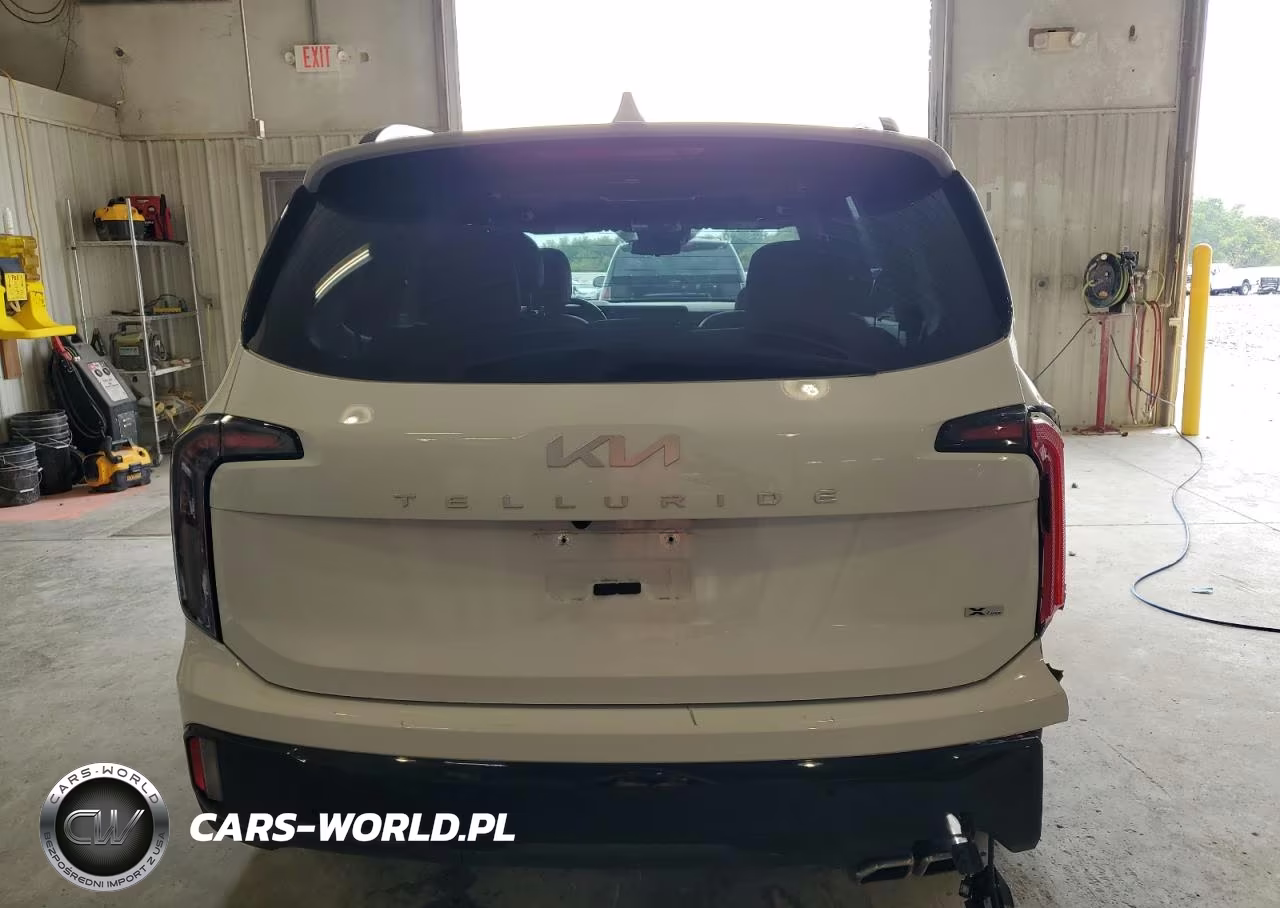 2024 Kia Telluride Sx VIN:5XYP5DGC3RG471252 - 6