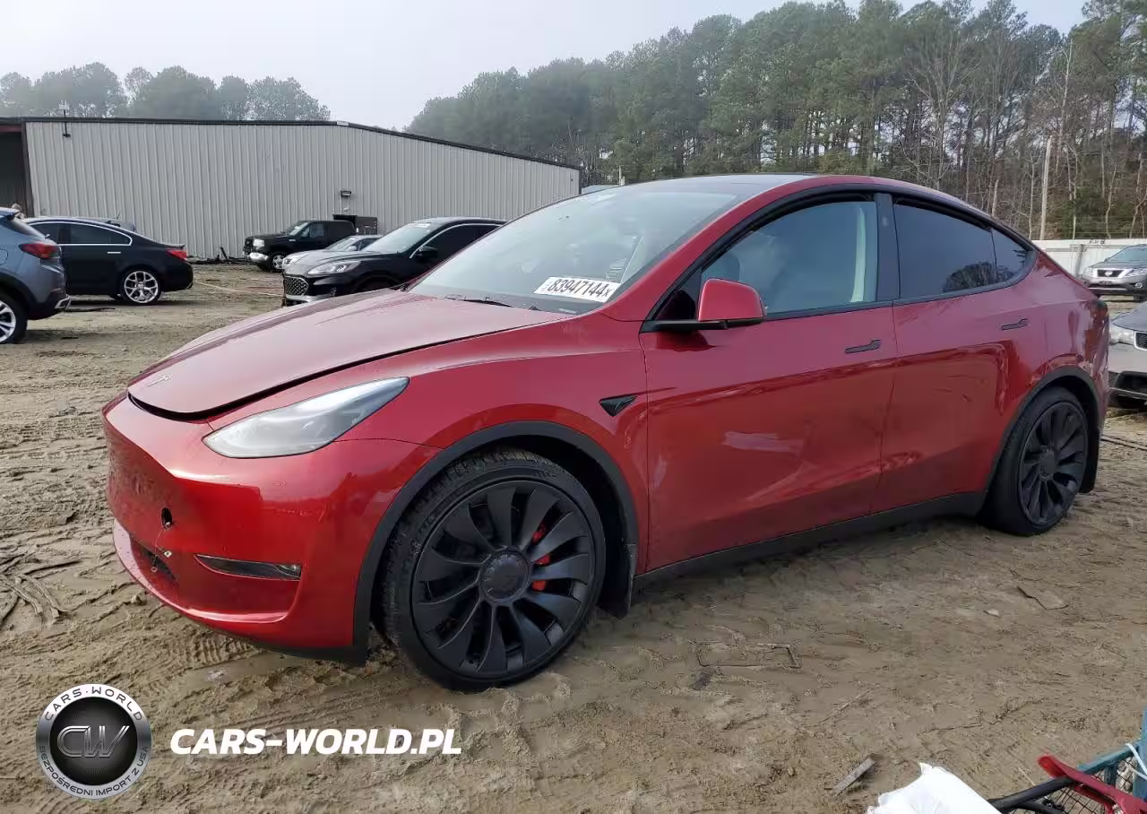 2024 Tesla Model Y