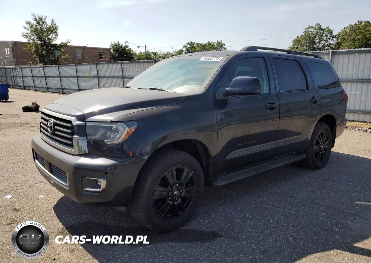 2019 Toyota Sequoia Sr5