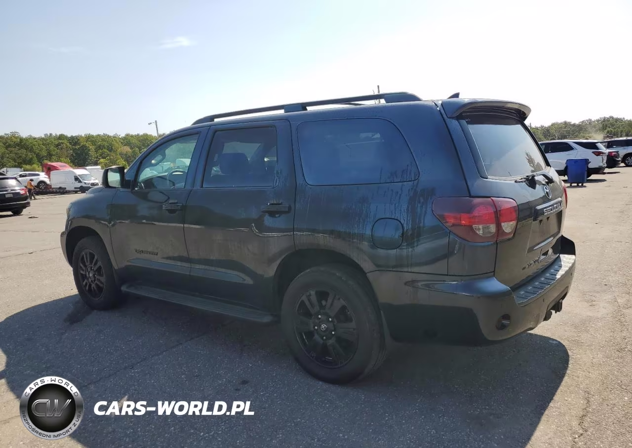 2019 Toyota Sequoia Sr5 VIN:5TDBY5G18KS168868 - 2