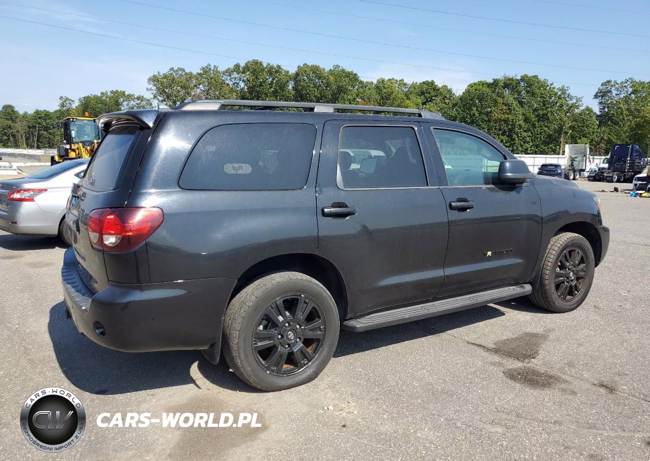 2019 Toyota Sequoia Sr5 VIN:5TDBY5G18KS168868 - 3