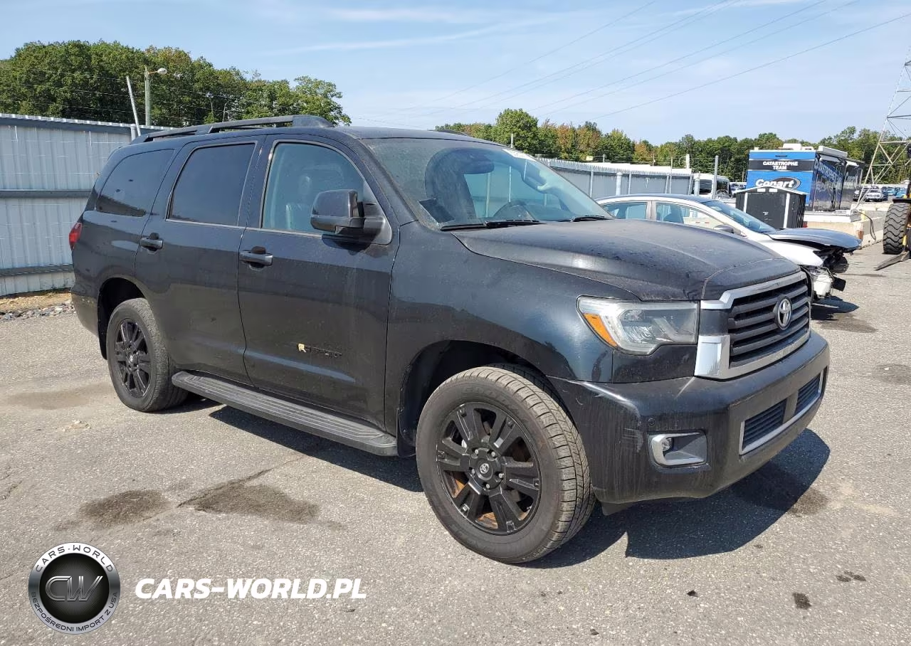 2019 Toyota Sequoia Sr5 VIN:5TDBY5G18KS168868 - 4