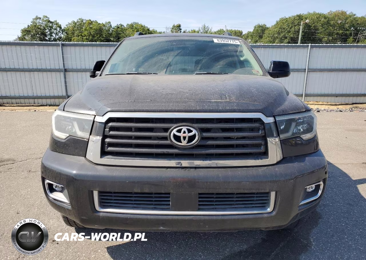 2019 Toyota Sequoia Sr5 VIN:5TDBY5G18KS168868 - 5