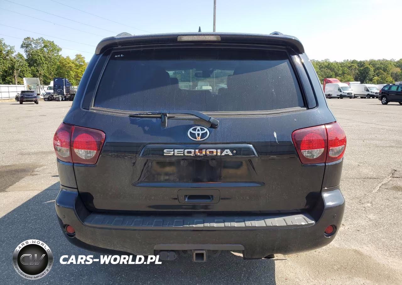 2019 Toyota Sequoia Sr5 VIN:5TDBY5G18KS168868 - 6