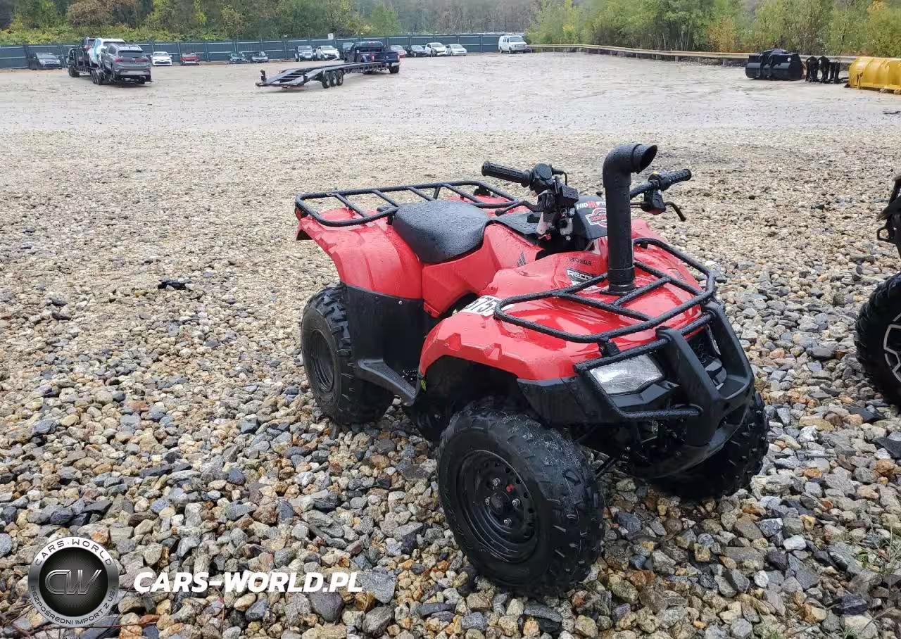 2025 Honda Trx250 Tm