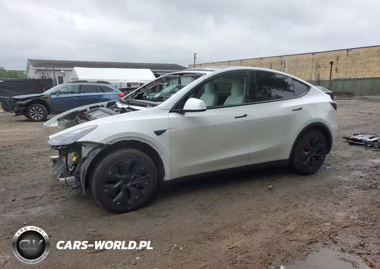 2024 Tesla Model Y