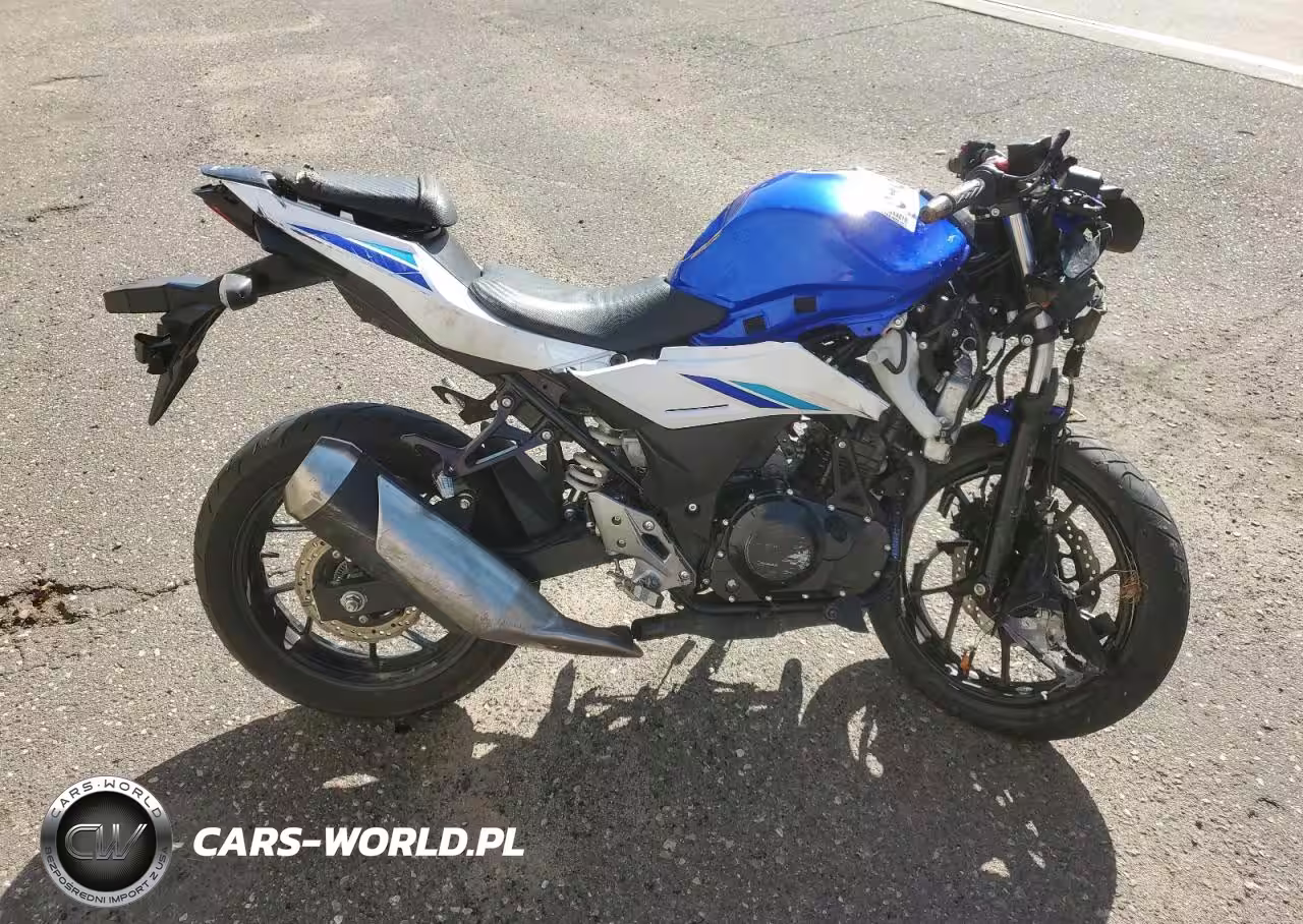 2019 Suzuki Gsx250R M