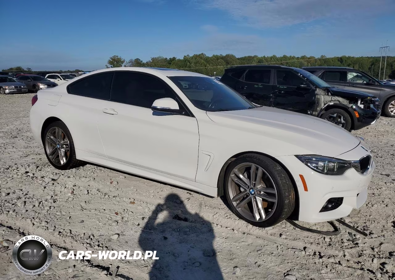 2019 BMW 430Xi VIN:WBA4W5C52KAE49505 - 4