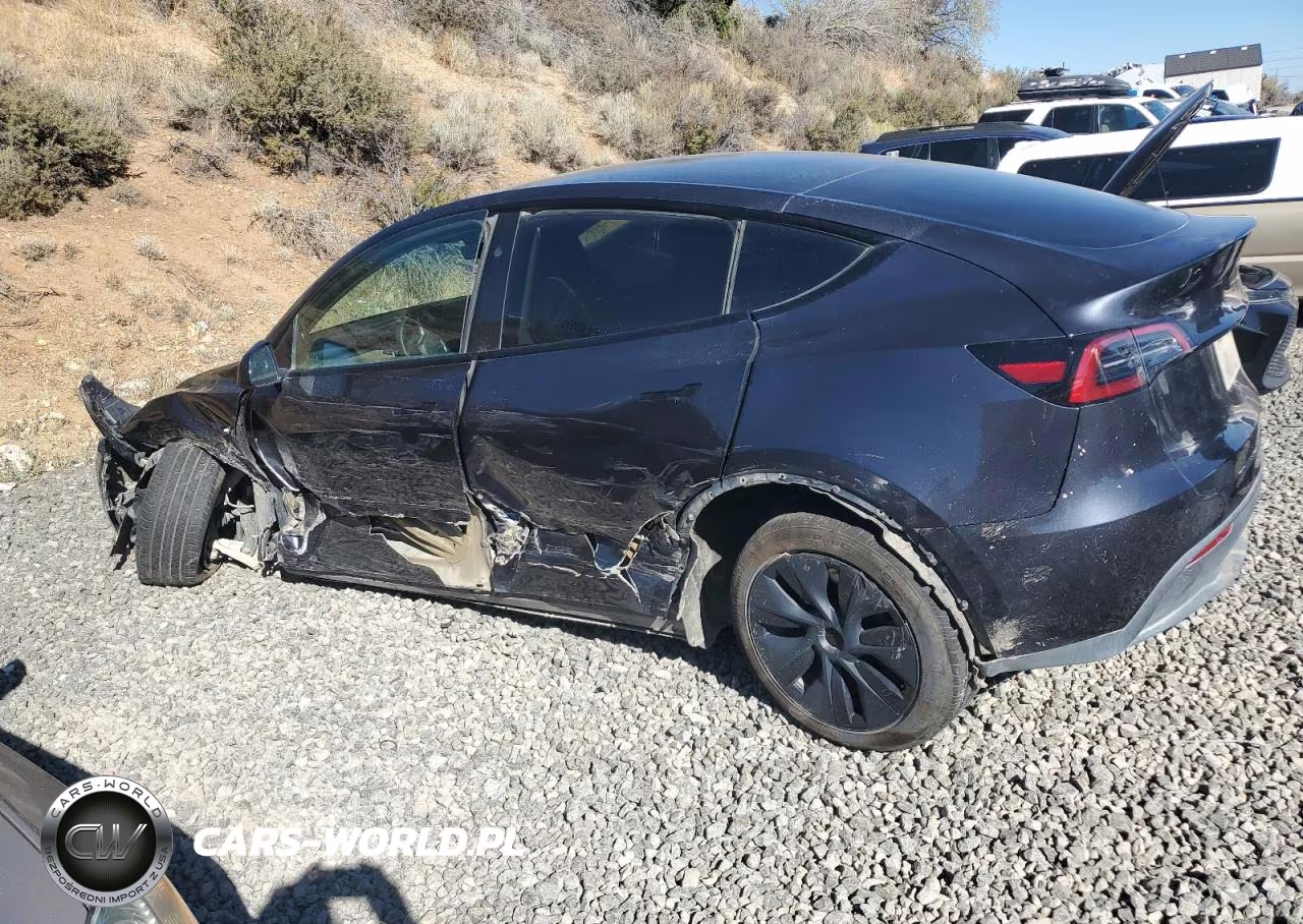 2025 Tesla Model Y VIN:7SAYGDEE9SA357725 - 2