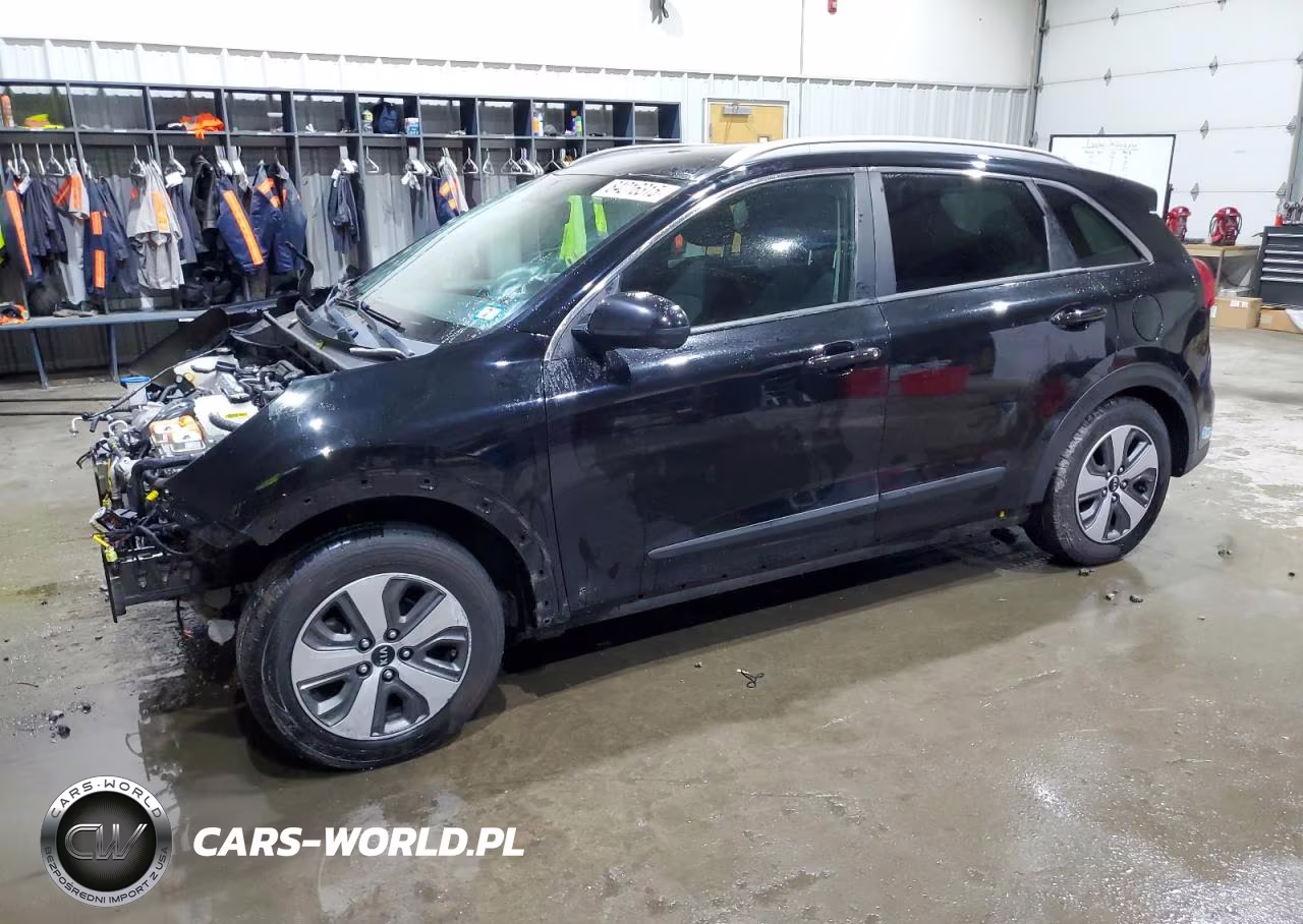 2019 Kia Niro Lx VIN:KNDCB3LC4K5316537 - 1