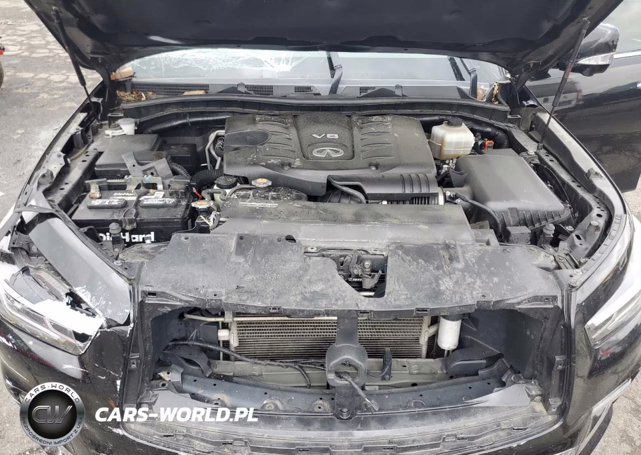 2019 Infiniti Qx80 Luxe VIN:JN8AZ2NE4K9229147 - 12