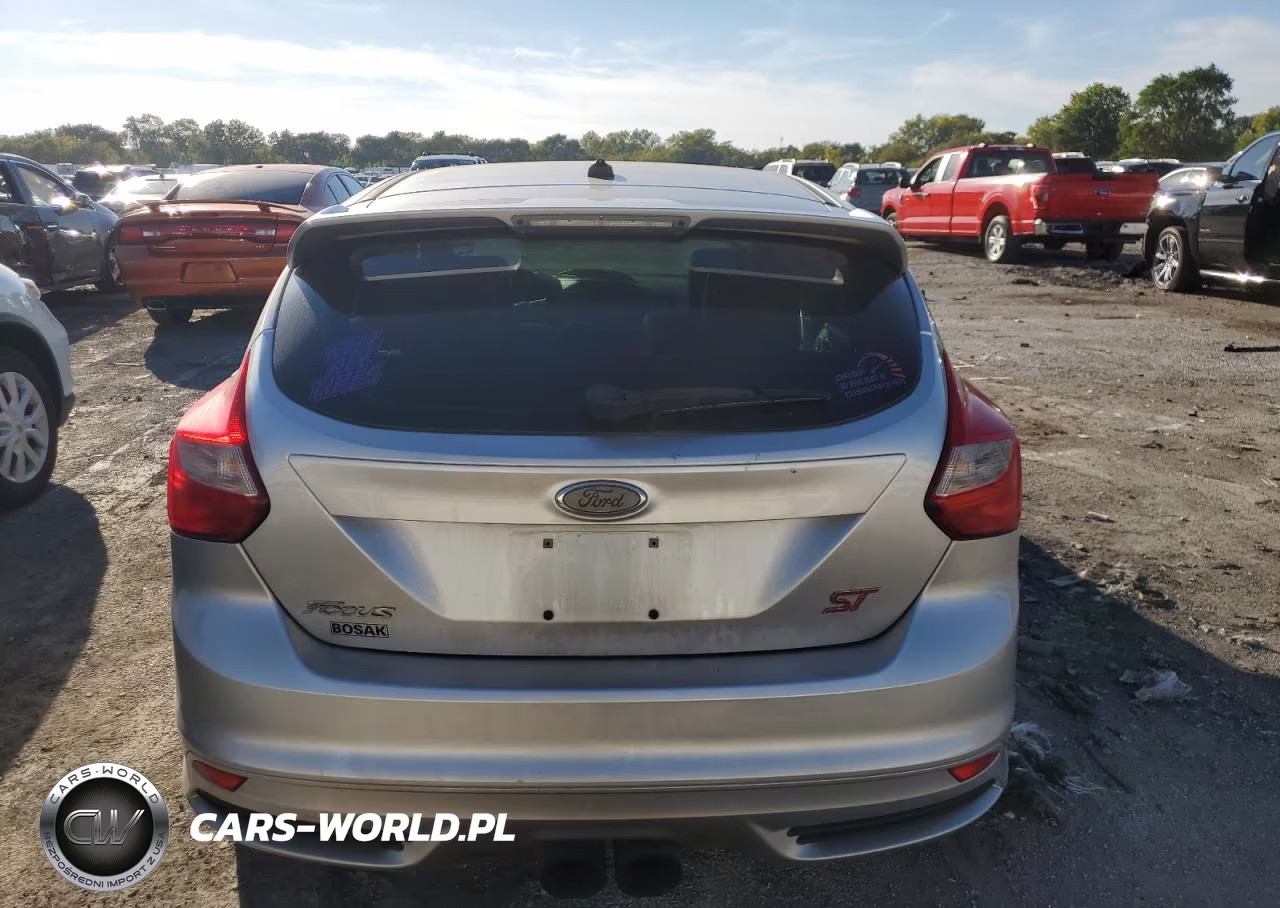 2014 Ford Focus St VIN:1FADP3L91EL173613 - 6