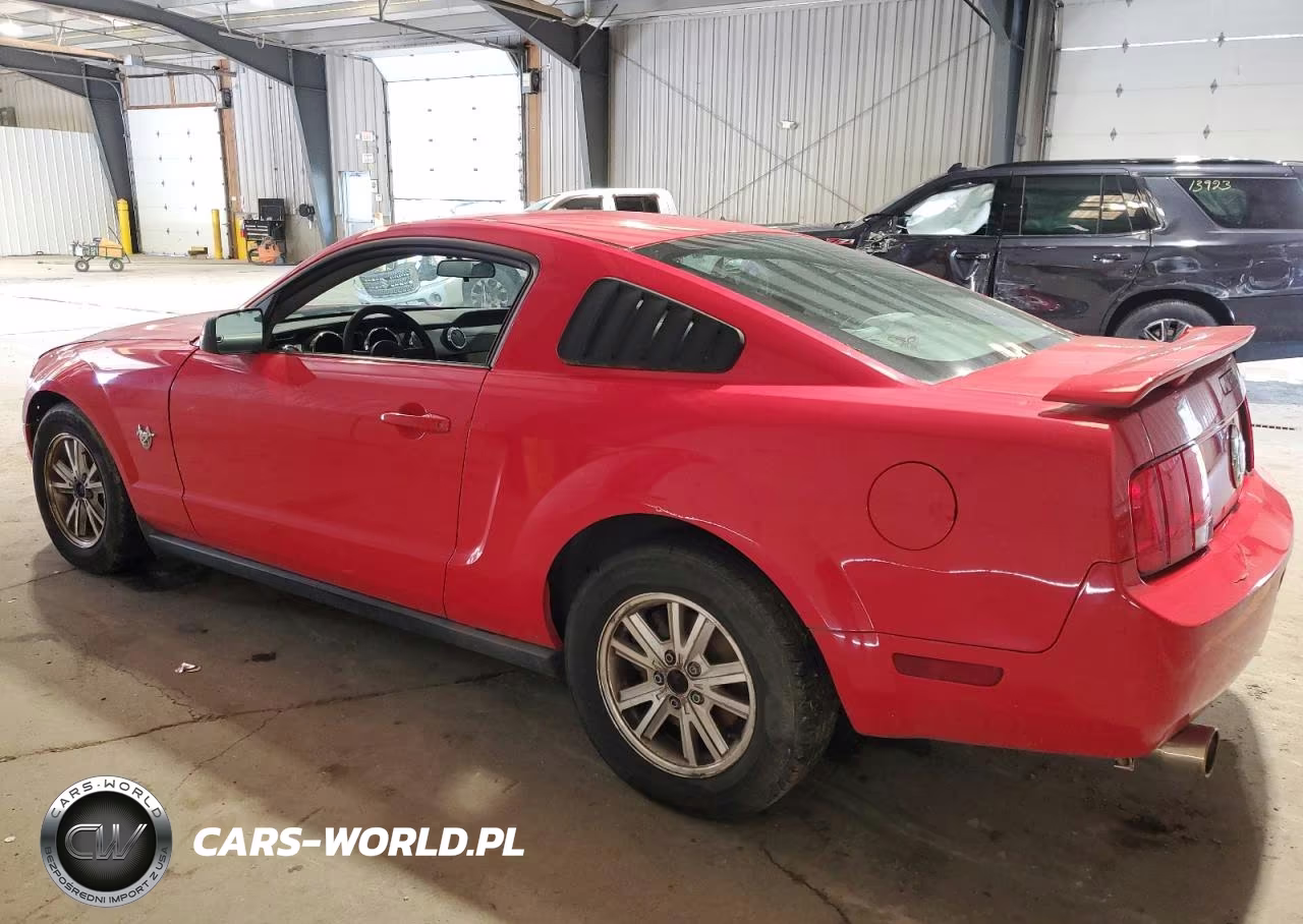2009 Ford Mustang VIN:1ZVHT80N995121689 - 2