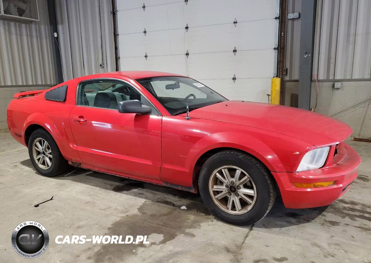 2009 Ford Mustang VIN:1ZVHT80N995121689 - 4