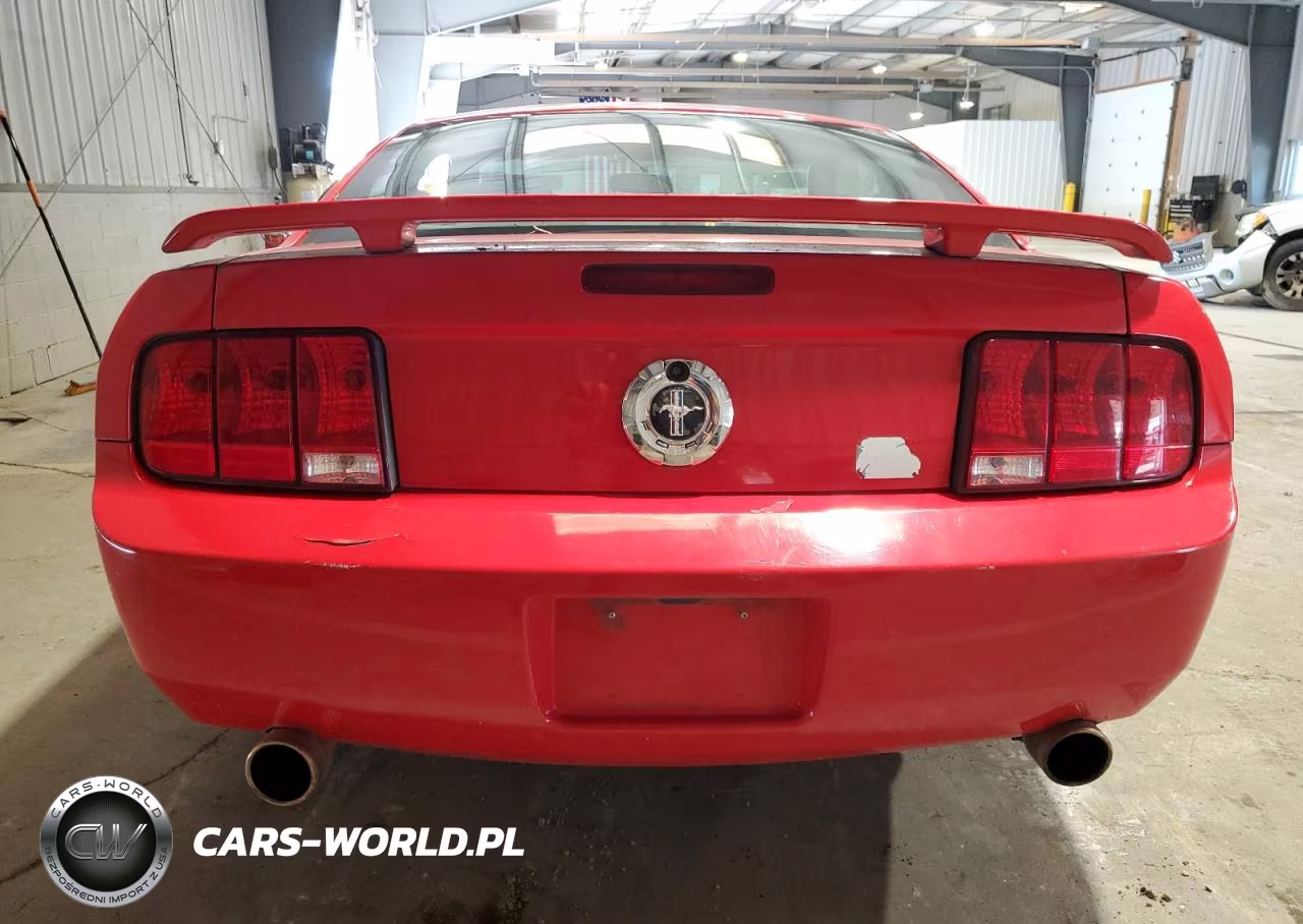 2009 Ford Mustang VIN:1ZVHT80N995121689 - 6