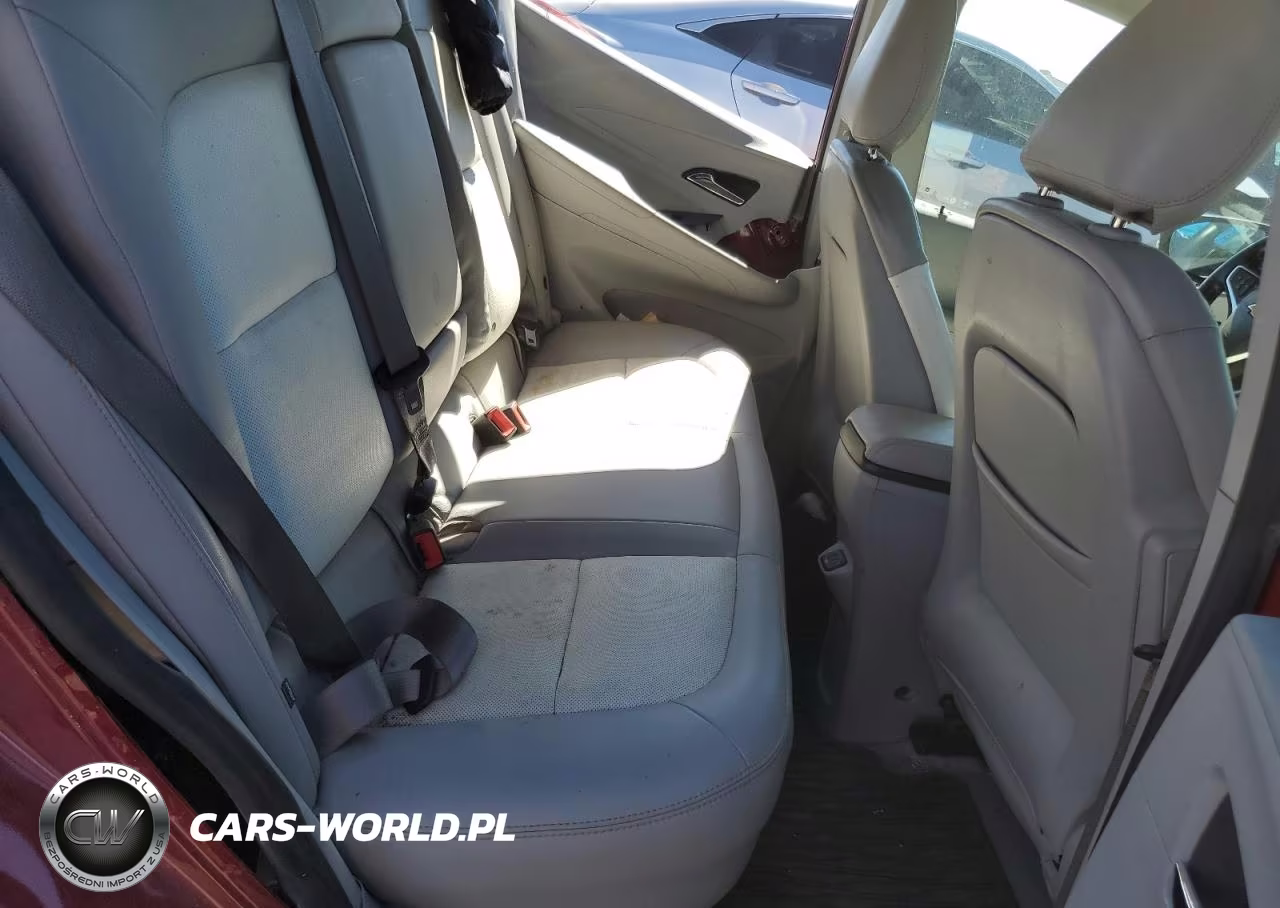 2017 Chevrolet Bolt Ev Premier VIN:1G1FX6S07H4179494 - 10