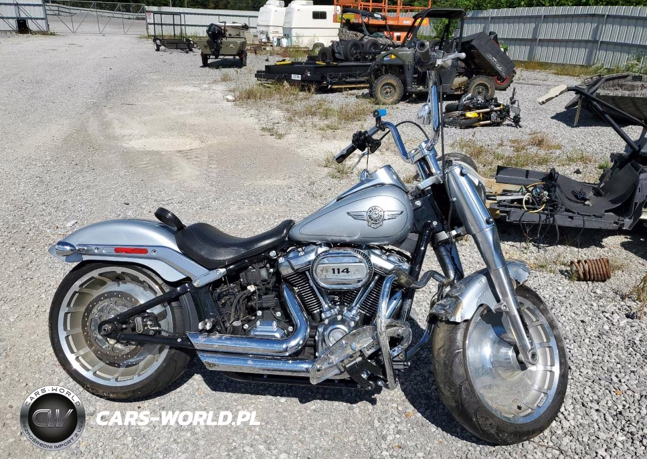2020 Harley-Davidson Flfbs