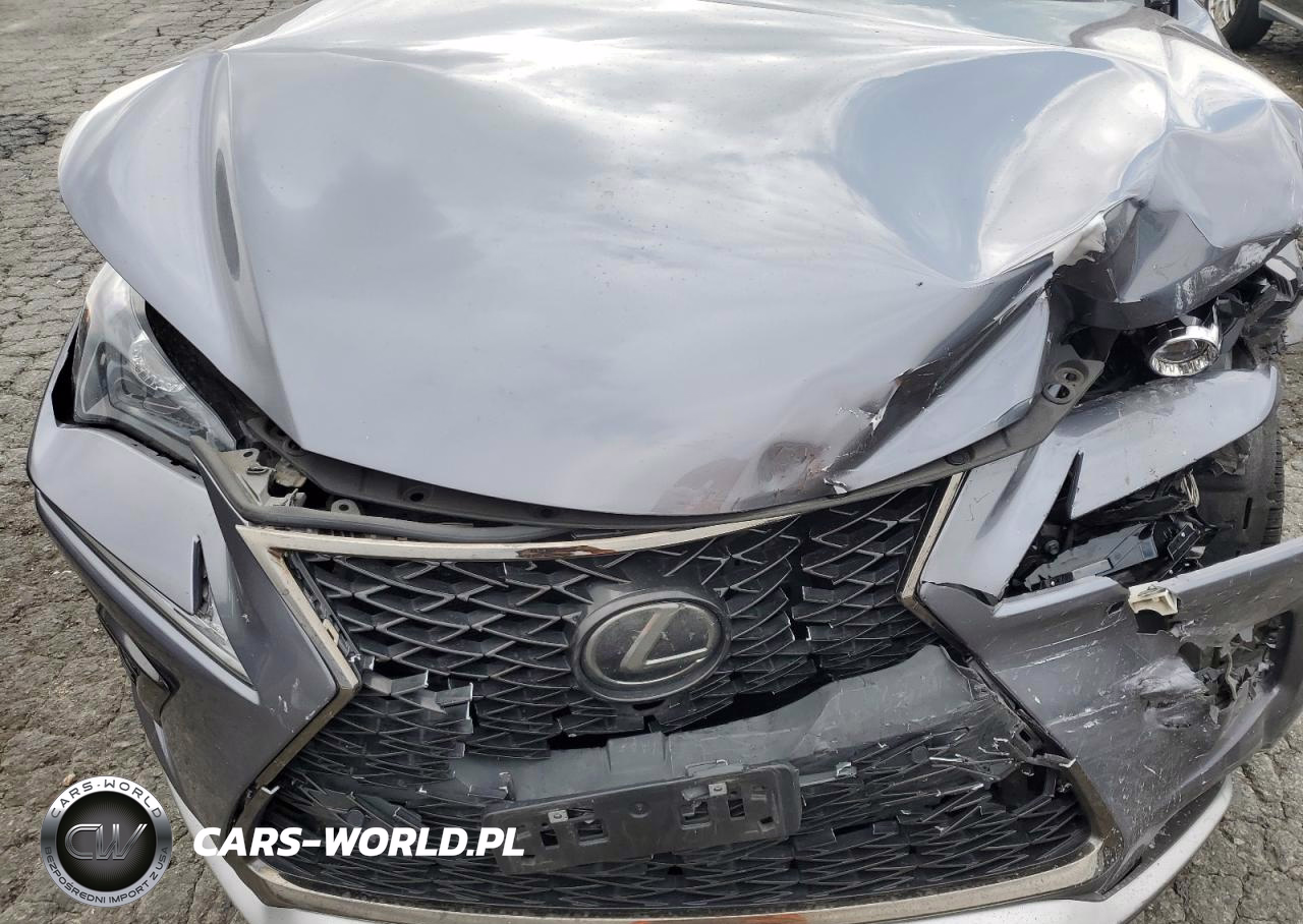 2018 Lexus Nx 300 Base VIN:JTJYARBZ6J2097062 - 12
