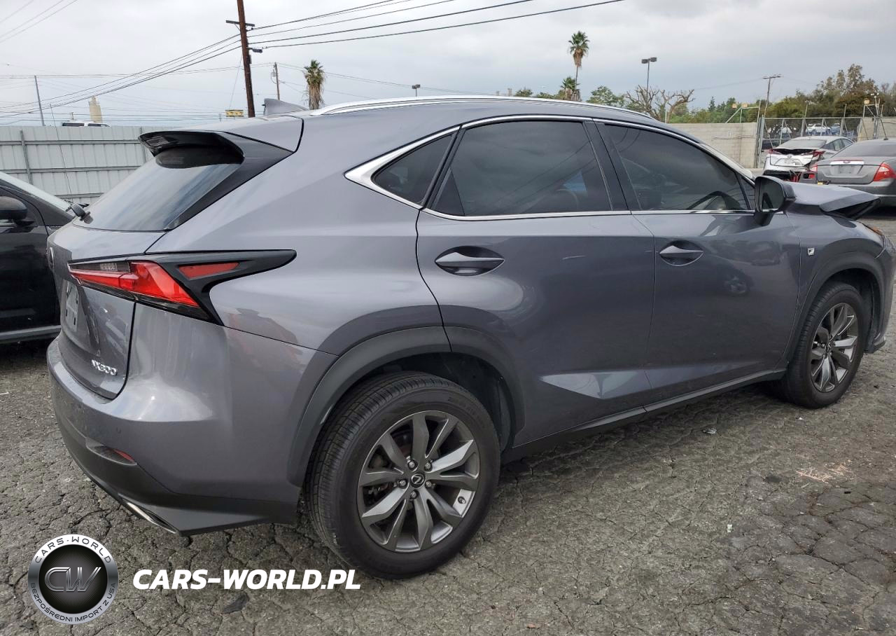 2018 Lexus Nx 300 Base VIN:JTJYARBZ6J2097062 - 3