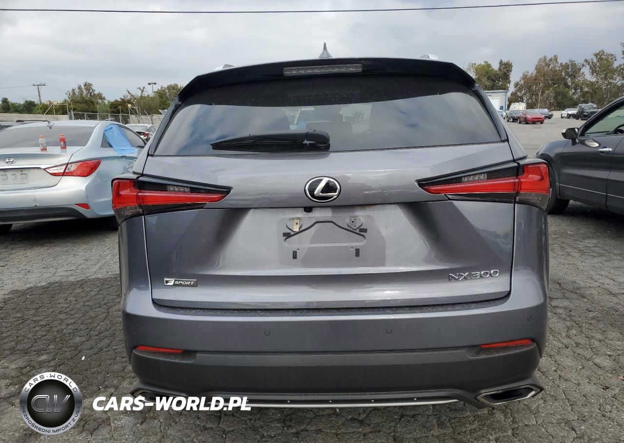 2018 Lexus Nx 300 Base VIN:JTJYARBZ6J2097062 - 6
