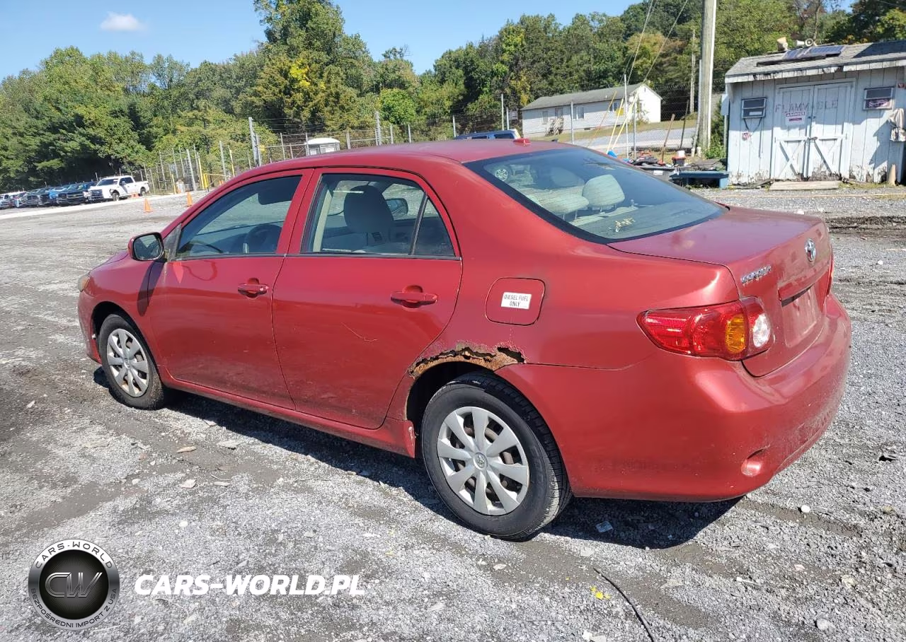 2009 Toyota Corolla VIN:JTDBL40E89J006123 - 2