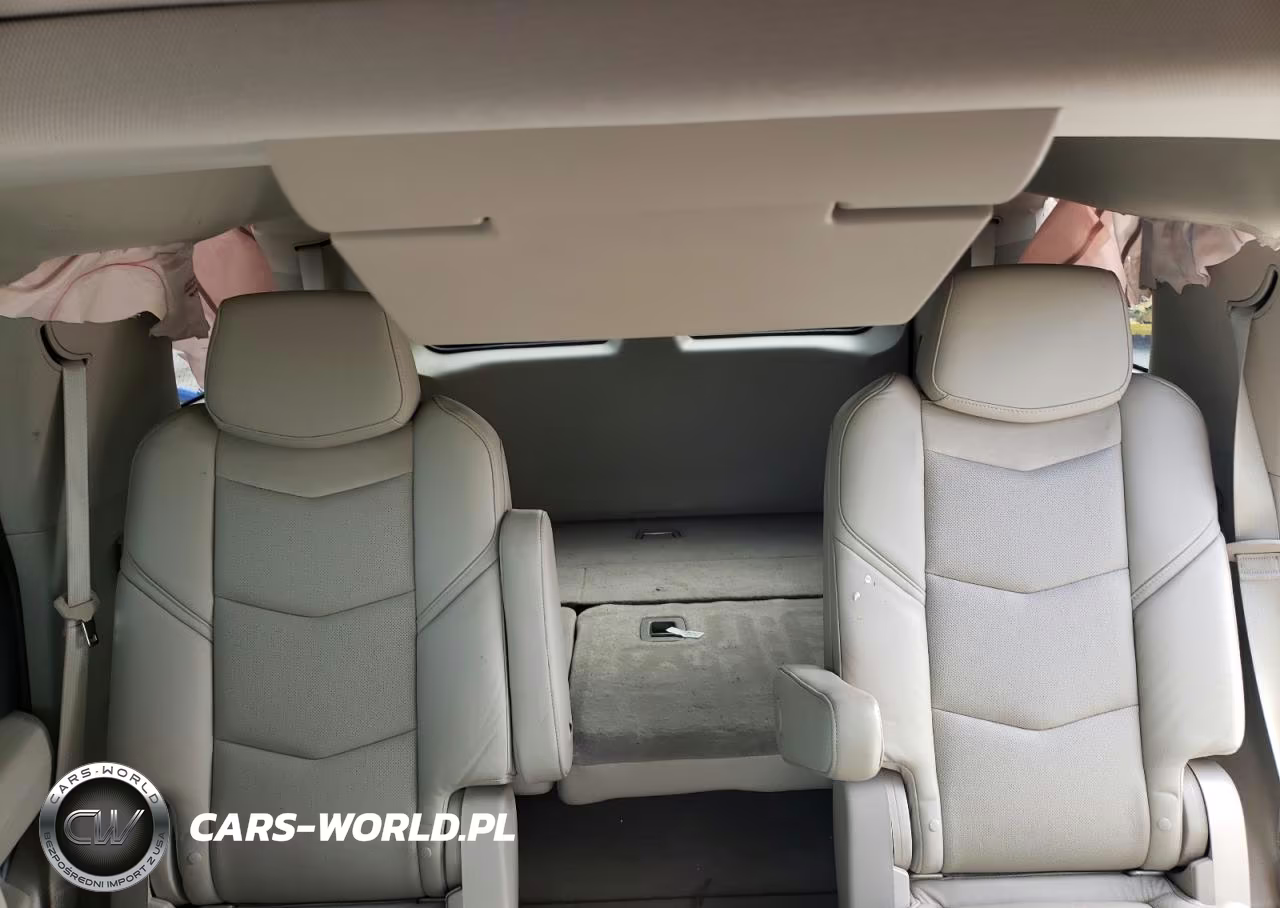 2020 Cadillac Escalade Luxury VIN:1GYS4BKJ0LR194988 - 10