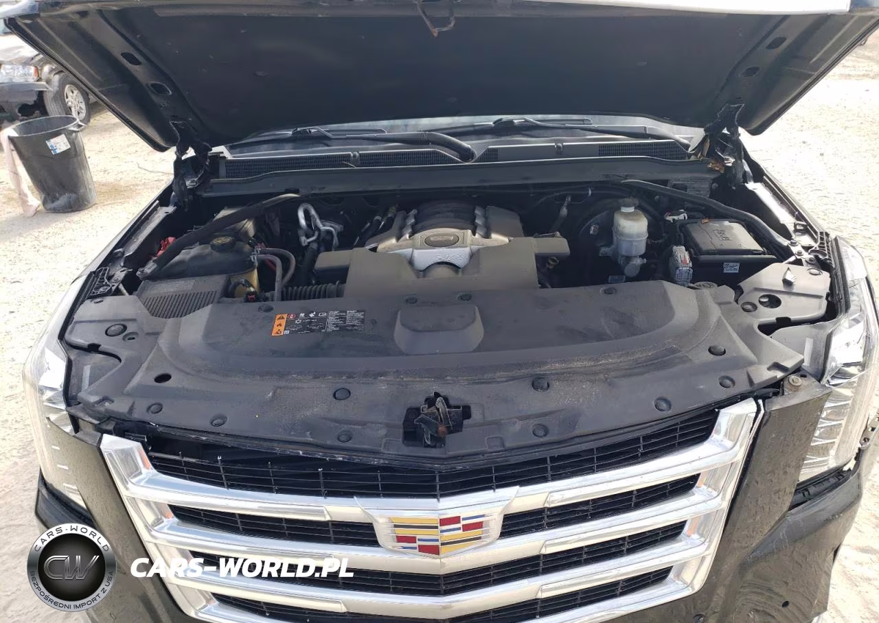 2020 Cadillac Escalade Luxury VIN:1GYS4BKJ0LR194988 - 12