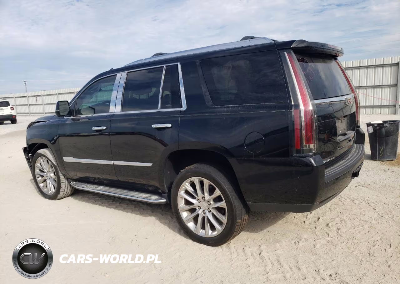 2020 Cadillac Escalade Luxury VIN:1GYS4BKJ0LR194988 - 2
