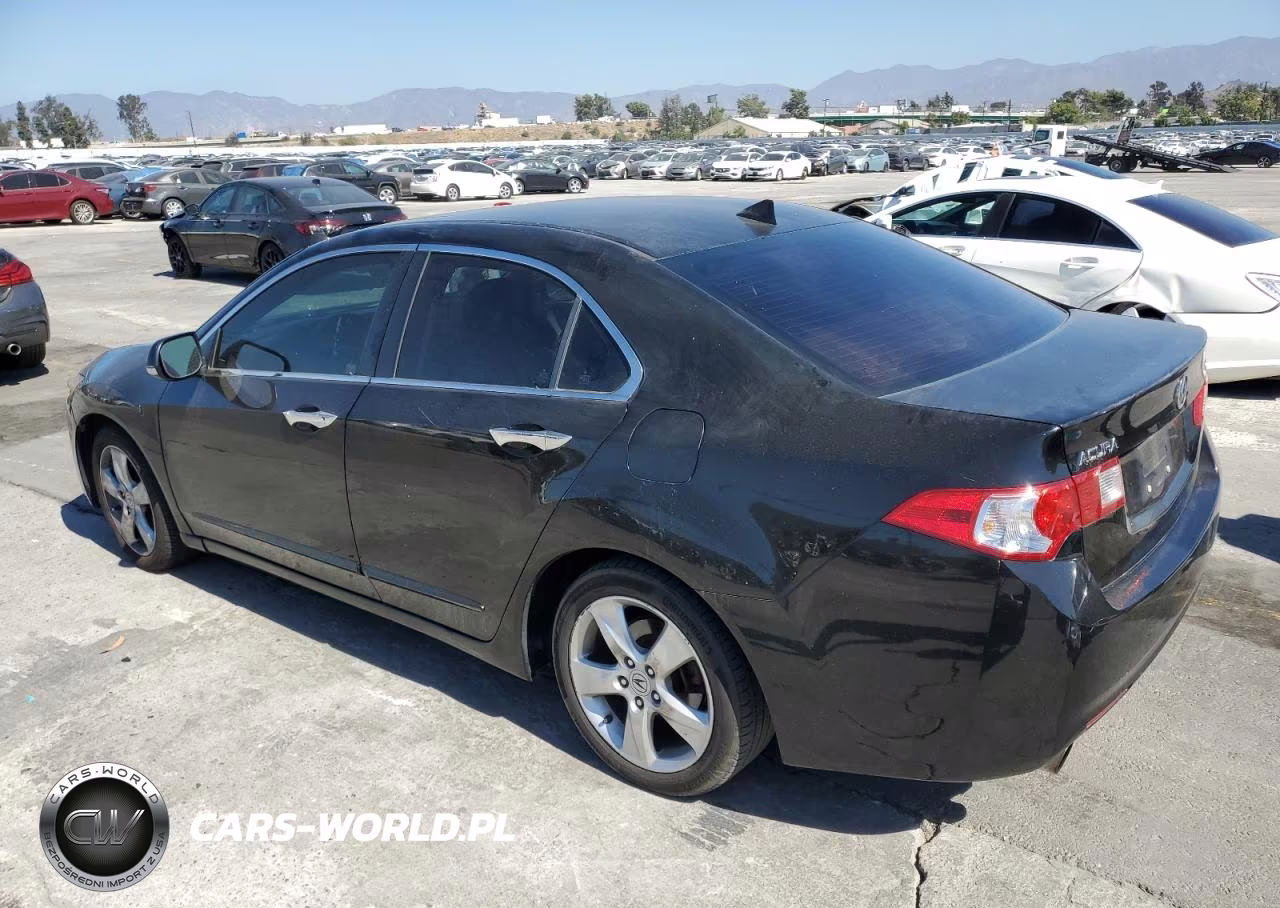 2009 Acura Tsx VIN:JH4CU26639C004126 - 2