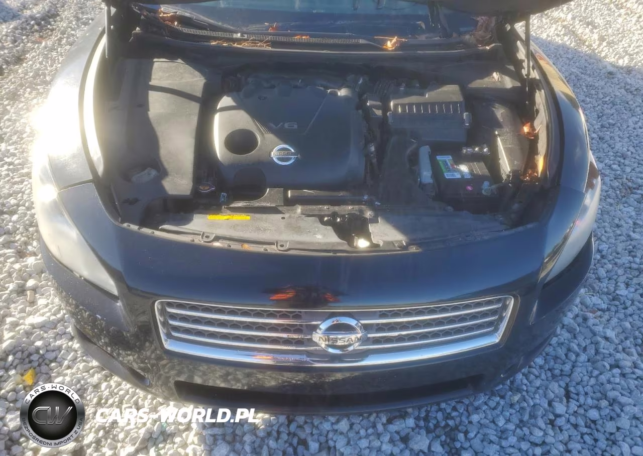 2010 Nissan Maxima 3.5 S VIN:1N4AA5AP6AC848965 - 11