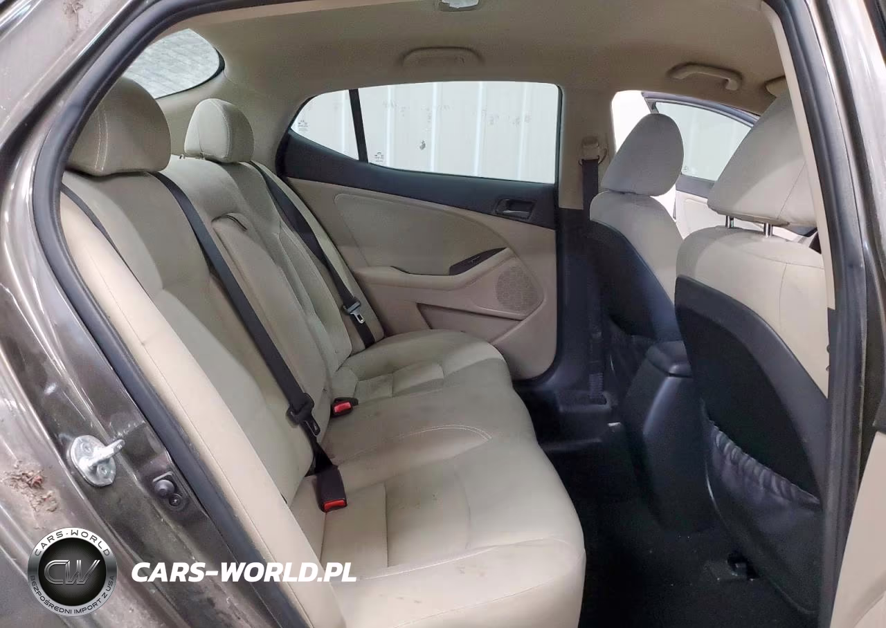 2015 Kia Optima Lx VIN:5XXGM4A7XFG392899 - 10