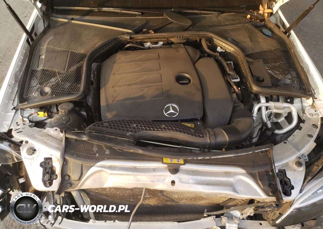 2019 Mercedes-Benz C 300 VIN:55SWF8DB0KU300790 - 11