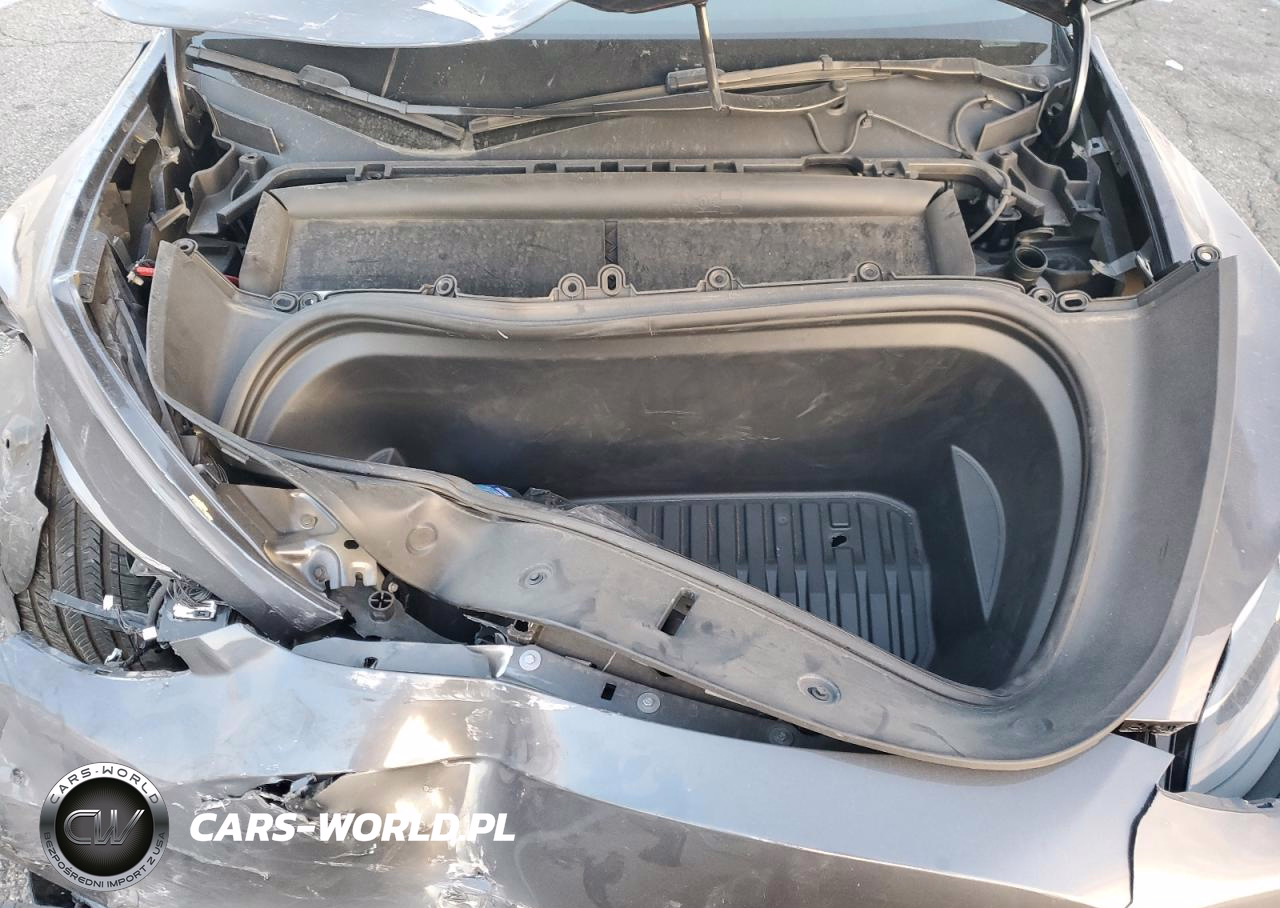 TESLA MODEL Y VIN:7SAYGDEF0PF809287 - 12
