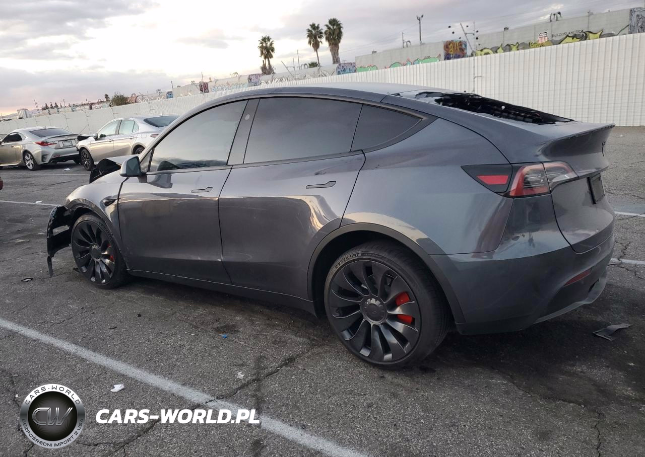 TESLA MODEL Y VIN:7SAYGDEF0PF809287 - 2